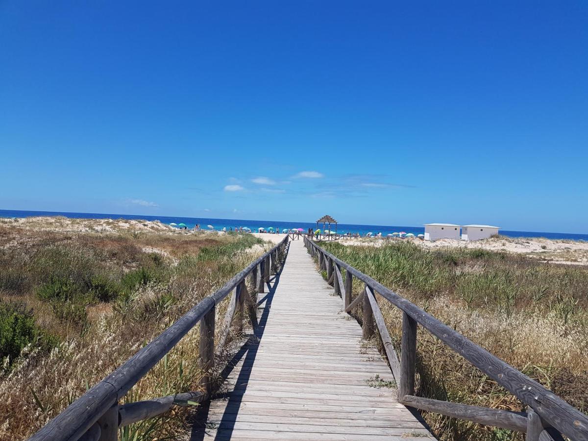 Aticos Primera Linea En Zahara De Los Atunes Ngoại thất bức ảnh